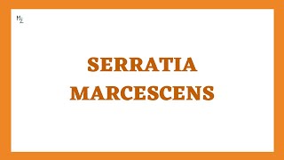 Serratia marcescens its Characteristics Pathogenesis Clinical Findings and More [upl. by Lrub]