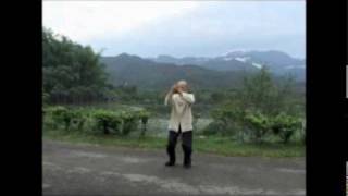 Cheng ManChing Taijiquan  Short Form  Grandmaster Lin FengChao [upl. by Htesil]