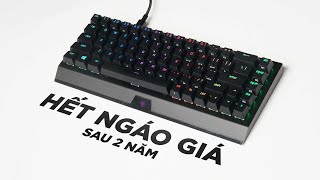 Bạn rất nên mua BlackWidow V3 Mini HyperSpeed SAU 2 NĂM Giảm 50 [upl. by Aleka805]