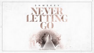 יעקב שוואקי Yaakov Shwekey  Never Letting Go [upl. by Groeg322]