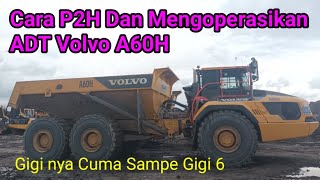 Cara P2H dan mengoperasikan ADT Volvo A60H [upl. by Biamonte]