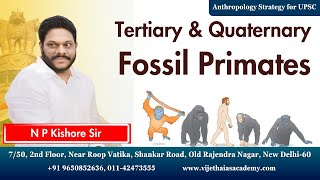 Tertiary and Quaternary Fossil Primates  Anthropology Strategy for UPSC by NP Kishore Sir [upl. by Rossing]