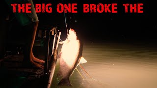 BEST BOWFISHING LIGHTS FOR 2021 SOUTHERN LITE LED [upl. by Einaeg]