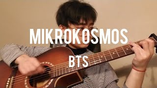 BTS 방탄소년단  Mikrokosmos 소우주 Fingerstyle Guitar Cover Short Cover [upl. by Adlog]