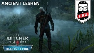 The Witcher 3 Wild Hunt  Ancient Leshen Battle [upl. by Castorina]