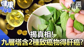 九層塔含「2種致癌物」吃了會得肝癌？ 揭真相！【57健康同學會】精華篇｜廖慶學 嚴立婷 蕭敦仁 譚敦慈 劉怡里 郭主義 [upl. by Krantz607]