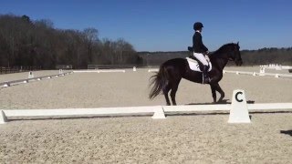 Beginner Novice Dressage Test A [upl. by Siugram725]