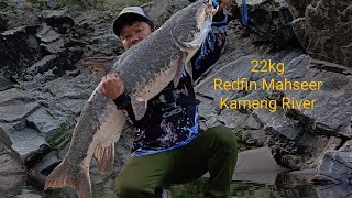 My New Record 22kg Redfin Mahseer Kameng river Arunachal Pradesh😊 First time Redfin in Arunachal 🎣 [upl. by Aved]