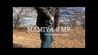 Mamiya 6 MF  Days of Gold  with Panoramic adapter [upl. by Ainadi]