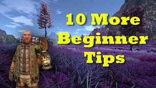 10 More Beginner Tips To Start Out  Outward Definitive Edition [upl. by Nika690]