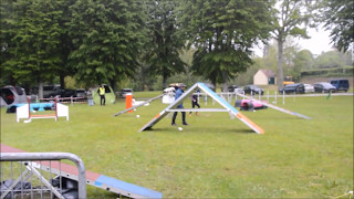 AGILITY  CHAUMES EN BRIE [upl. by Jasmin127]