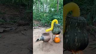 Survival Skills steam bad water in Pumpkin camping bushcraft outdoors useful [upl. by Enylcaj]