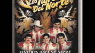 Los Tigres del Norte  Alla Nos Juntamos [upl. by Jolie]