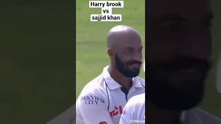 Sajjid khan vs Harry brook 🔥shortvideo shortsshortsviral cricket cricketlover [upl. by Annawat]