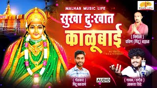 Sukh Dukhat Kalubai  सुखा दुःखात काळूबाई  Kalubai Songs  Aakash Shinde  kalubai chi gani [upl. by Pavier769]