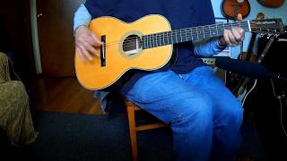 Martin 0028vs Acoustic [upl. by Haiasi126]