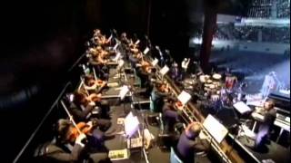 Yamazaki Masayoshi  One More Time One More Chance live with orchestra [upl. by Atiuqehs761]