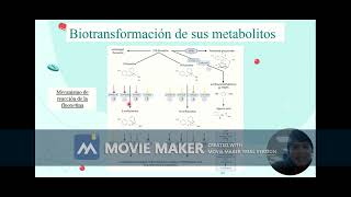 Toxicología Fluoxetina Pita y Chong [upl. by Risan]