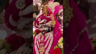 Jis ki Kalai tham li usko kesa dar 🙏🌹🌹🌹🥰🥰shyam bhajankhatushyam bhakti song [upl. by Gustin572]