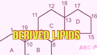 Derived Lipids Biochemistry [upl. by Nomelc914]