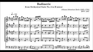 Badinerie Flute Quarter Sibelius [upl. by Ahsikrats301]