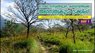 A Trip to Agasthyarkoodam Day1  അഗസ്ത്യകൂടം  Monsoon Medias Travel Stories [upl. by Ednutey]