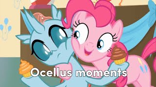 Ocellus moments [upl. by Hogen949]