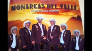 Cumbia Marily  Monarcas del Valle [upl. by Neesay151]