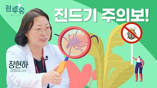 런투유ep3🍉와 여름이다💙 무더위 보다 더 조심해야 할 살인 진드기🥵 l 감염내과 장현하 교수 [upl. by Nami839]