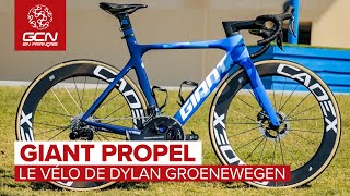 Le vélo Giant Propel de Dylan Groenewegen  Team BikeExchangeJayco [upl. by Nawad]