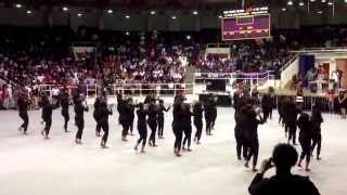 2014 Pv Probate Delta Sigma Theta [upl. by Veno]