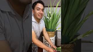 Canasta con gladiolus blancas DECORALIA tutoriales tutorial emprendimiento rosas bouquet [upl. by Anawqahs]