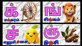 Mei eluthukkal  மெய்யெழுத்துக்கள்  க்ங்ச்ஞ்learn tamil mei eluthukkalமெய் எழுத்துகள் mei eluthu [upl. by Kaliope]