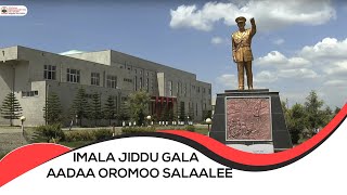 Imala Jiddu Gala Aadaa Oromoo Salaaleefi Seenaa magaalaa Fichee [upl. by Lenoel]