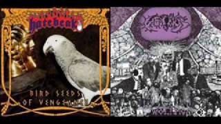 Hatebeak  Bird Seeds of Vengeance [upl. by Murtha]