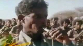 Eritrea  Tigre song quotNewaqella semetaquot  نوقلا سميتا  ንዋቅላ ስመታ [upl. by Saixela629]