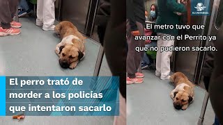 quotPerrito saboteadorquot policías y usuarios fallan al intentar sacar a un lomito del Metro [upl. by Lorenz365]