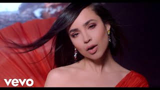 Sofia Carson  Ciclo Sin Fin De quotEl Rey Leónquot [upl. by Ahsetra127]