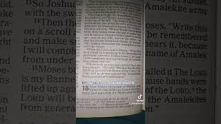 Exodus17The Amalkites DefeatedVerses1516 Exodus17 Amalekites Moses Aaron God NIV Bible [upl. by Enaillil]