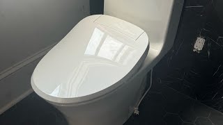 YT first Dual Flush Kohler veil tank toilet [upl. by Burner]