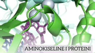 Aminokiseline i proteini [upl. by Ardnoek]