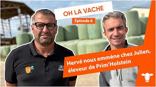 OH LA VACHE épisode 6  Hervé nous emmène chez Julien éleveur de Prim’Holstein [upl. by Ayal176]