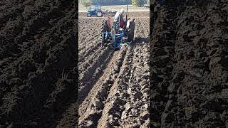 Massey Ferguson 35 Tractor at Newbury Ploughing Match  Saturday 19th October 2024 [upl. by Ninel]