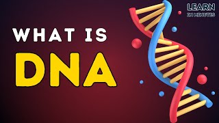 What is DNA  Deoxyribonucleic Acid  Basics Structure and Functions of DNA  Genetics [upl. by Carlynne]