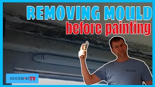 How to remove mould from a wall or ceiling before painting [upl. by Landis973]