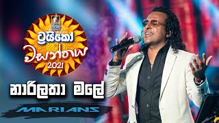 Narilatha Male  නාරිලතා මලේ   Trico වසන්තය with MARIANS [upl. by Tiebold]