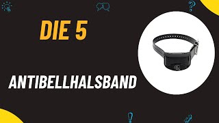 Die 5 Besten Antibellhalsband Test 2024 [upl. by Ennayr]