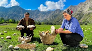 Collecting Wild Mushrooms in Azerbaijan’s Mountains  Traditional Mushroom and Potato Recipe [upl. by Meihar]