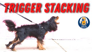 Stressed Dog How Trigger Stacking Might Be Putting Your Dog Over Threshold 112 [upl. by Tally804]