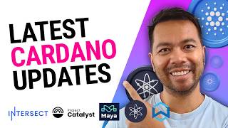 Cardano News Update User Inflows Interoperability DDoS Update  28th June 2024 [upl. by Bili]